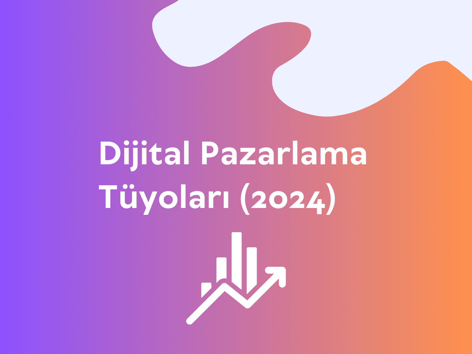 Dijital Pazarlama Tüyoları (2024)