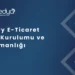 Shopify E Ticaret Sitesi Kurulumu ve Danismanligi 1