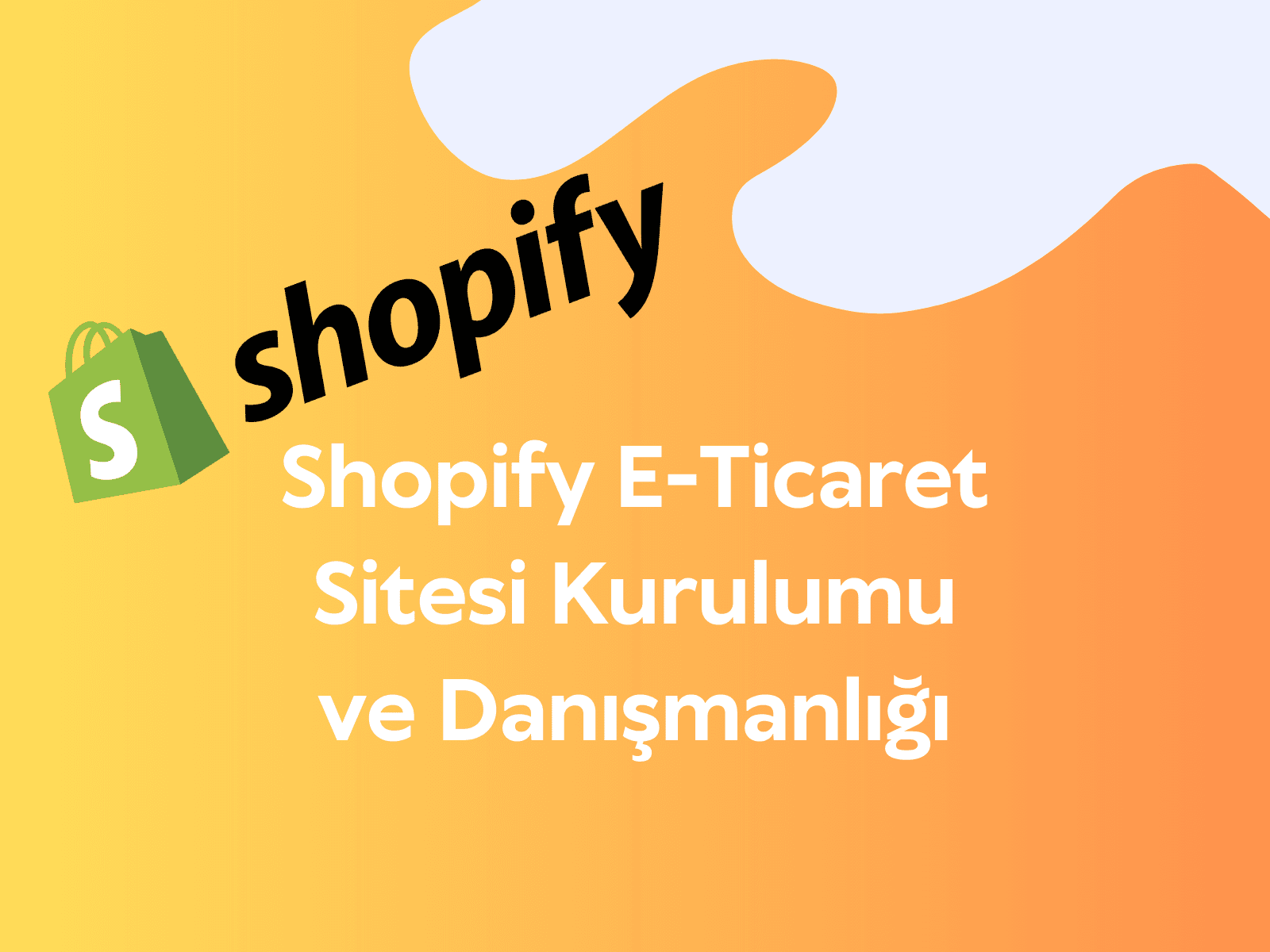 Shopify E-Ticaret Sitesi Kurulumu ve Danışmanlığı